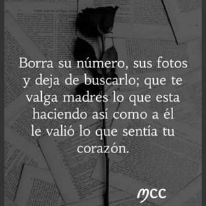 Meet your Posher, Petra